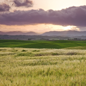 After the Storm:  Dunnigan Hills, CA