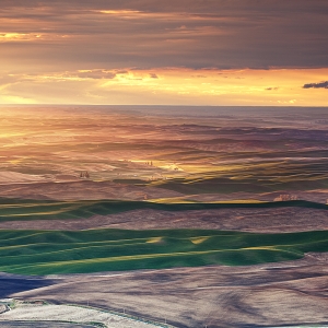 Painted Palouse: Steptoe Butte, WA