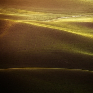 Almost Abstract: Palouse, WA