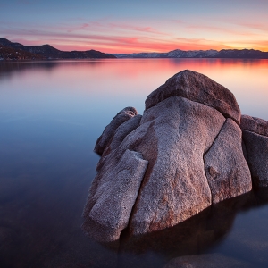 Elephant in the Pond:  Lake Tahoe, NV